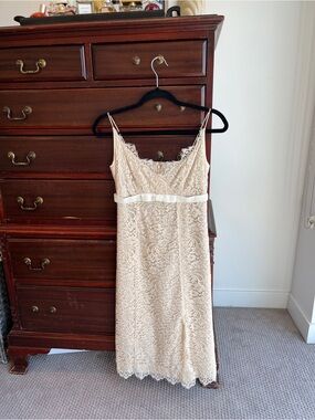 J. Crew Collection Cream French Leavers Lace Slip Dress